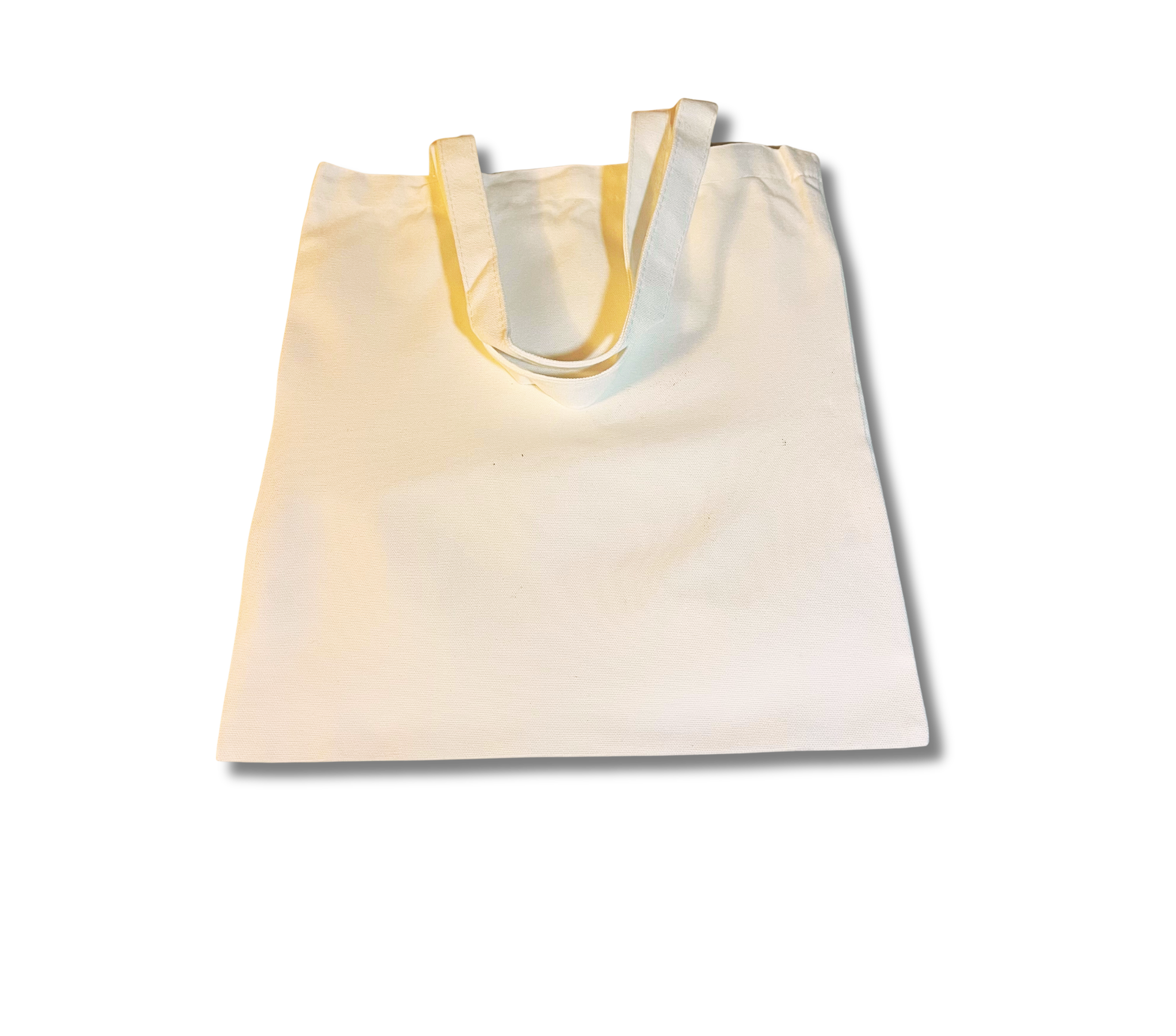 Large Tote + Zip Pouch Bundle
